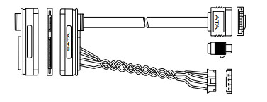 SATA DATA And Power Cable Assembly  009-0025797